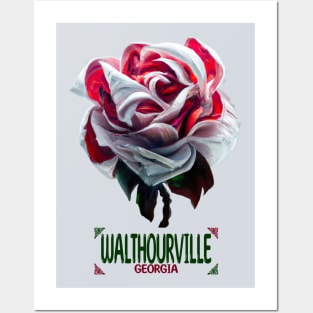 Walthourville Georgia Posters and Art